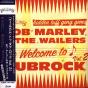 Welcome To Dubrock Vol. 2 - Vinil - Preview