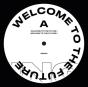 Welcome to the Future - Vinil - Preview