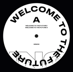 Capa do artigo Welcome to the Future - Vinil