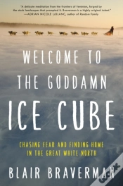 Capa do artigo Welcome To The Goddamn Ice Cube