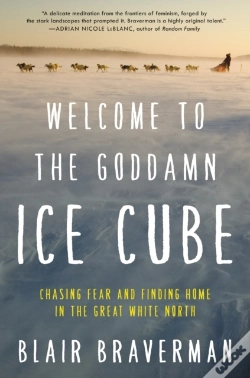 Capa do artigo Welcome To The Goddamn Ice Cube
