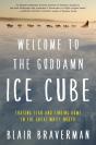 Welcome To The Goddamn Ice Cube - Preview