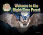 Welcome To The Night-Time Forest - Preview