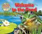Welcome To The Pond - Preview