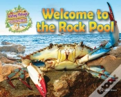 Capa do artigo Welcome To The Rock Pool