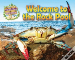 Capa do artigo Welcome To The Rock Pool