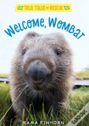 Capa do artigo Welcome, Wombat