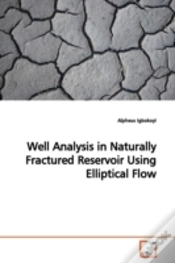 Capa do artigo Well Analysis In Naturally Fractured Res