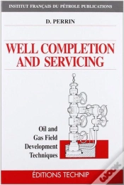 Capa do artigo Well Completion And Servicing