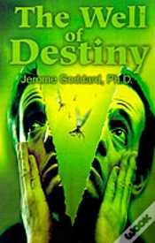 Capa do artigo Well Of Destiny