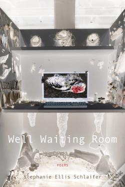 Capa do artigo Well Waiting Room