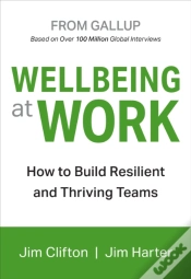 Capa do artigo Wellbeing At Work