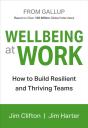 Wellbeing At Work - Preview