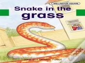 Wellington Square Assessment Kit - Snake In The Grass
