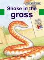 Wellington Square Assessment Kit - Snake In The Grass - Preview