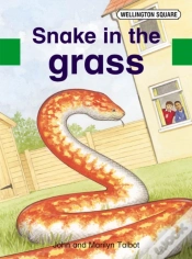 Capa do artigo Wellington Square Assessment Kit - Snake In The Grass