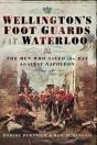 Wellington'S Foot Guards At Waterloo - Preview