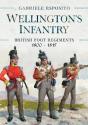 Wellington'S Infantry - Preview
