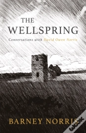 Capa do artigo Wellspring
