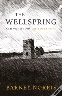 Capa do artigo Wellspring