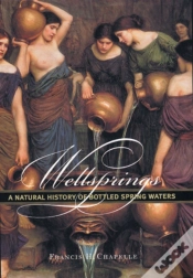 Capa do artigo Wellsprings