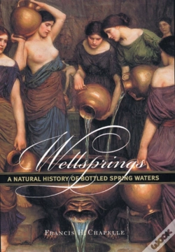 Capa do artigo Wellsprings