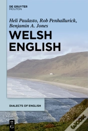 Capa do artigo Welsh English