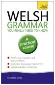 Welsh Grammar You Really Need To Know: Teach Yourself