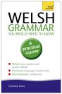 Welsh Grammar You Really Need To Know: Teach Yourself - Preview