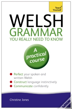 Capa do artigo Welsh Grammar You Really Need To Know: Teach Yourself