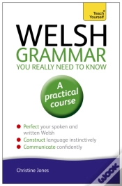 Capa do artigo Welsh Grammar You Really Need To Know: Teach Yourself