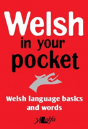 Welsh In Your Pocket - Preview