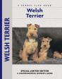 Welsh Terrier - Preview