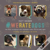 Capa do artigo #Weratedogs