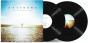 We're Here Because We're Here - Vinil - Preview