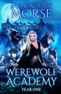 Werewolf Academy - Preview