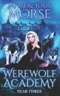 Werewolf Academy - Preview