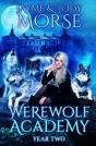 Werewolf Academy - Preview