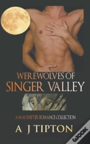 Capa do artigo Werewolves Of Singer Valley: A M-M Shift