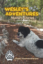 Wesley'S Adventures - Preview