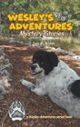 Wesley'S Adventures - Preview