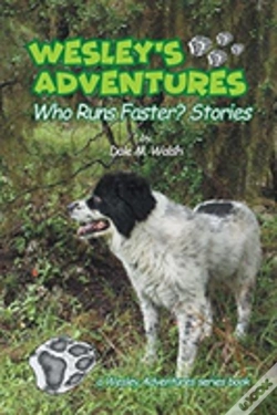 Capa do artigo Wesley'S Adventures