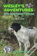 Wesley'S Adventures