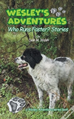 Capa do artigo Wesley'S Adventures