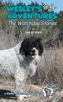 Capa do artigo Wesley'S Adventures
