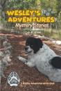Wesley'S Adventures; Mystery Stories; - Preview