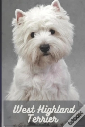 Capa do artigo West Highland Terrier