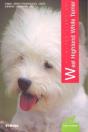 West Highland White Terrier - Preview
