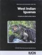 West Indian Iguanas - Preview