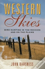 Capa do artigo Western Skies